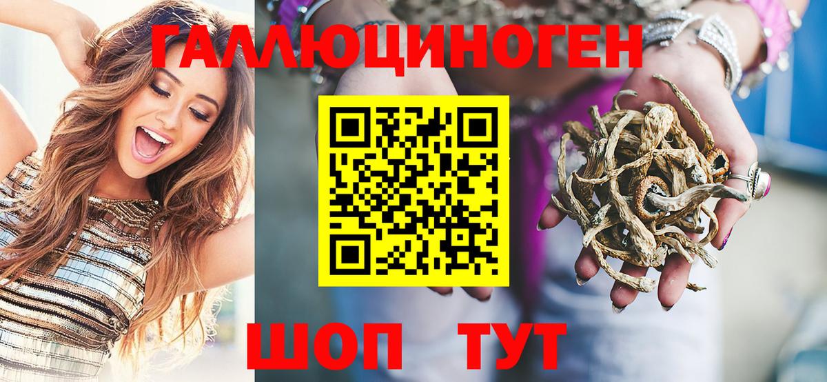 Искитим  Псилоцибиновые грибы Cubensis  Вход с VPN 