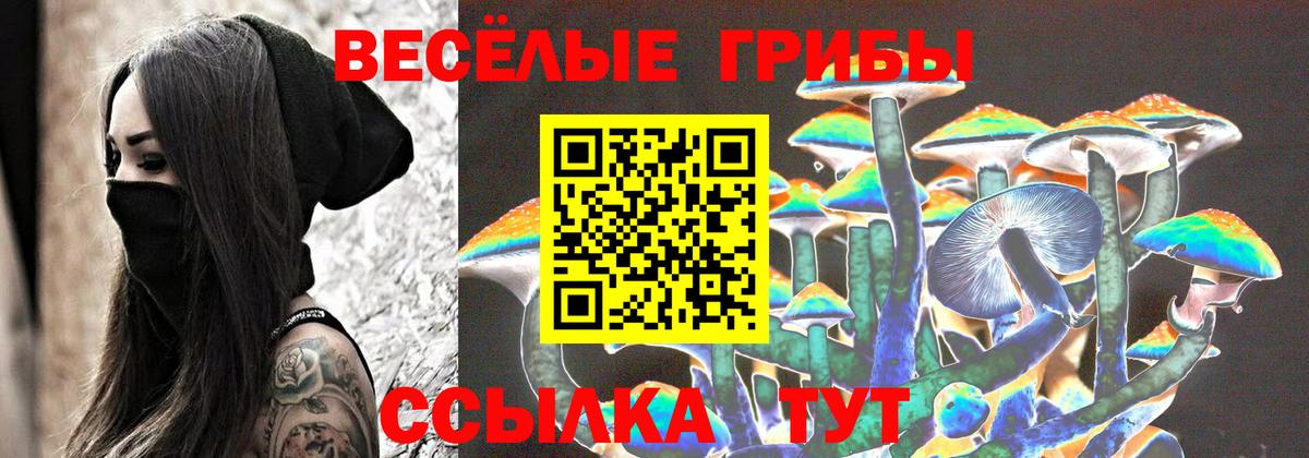 Псилоцибиновые грибы GOLDEN TEACHER Искитим