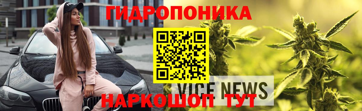 Искитим  Бошки Шишки Bruce Banner  Бошки Шишки семена  Вход с VPN  Марихуана Bruce Banner 